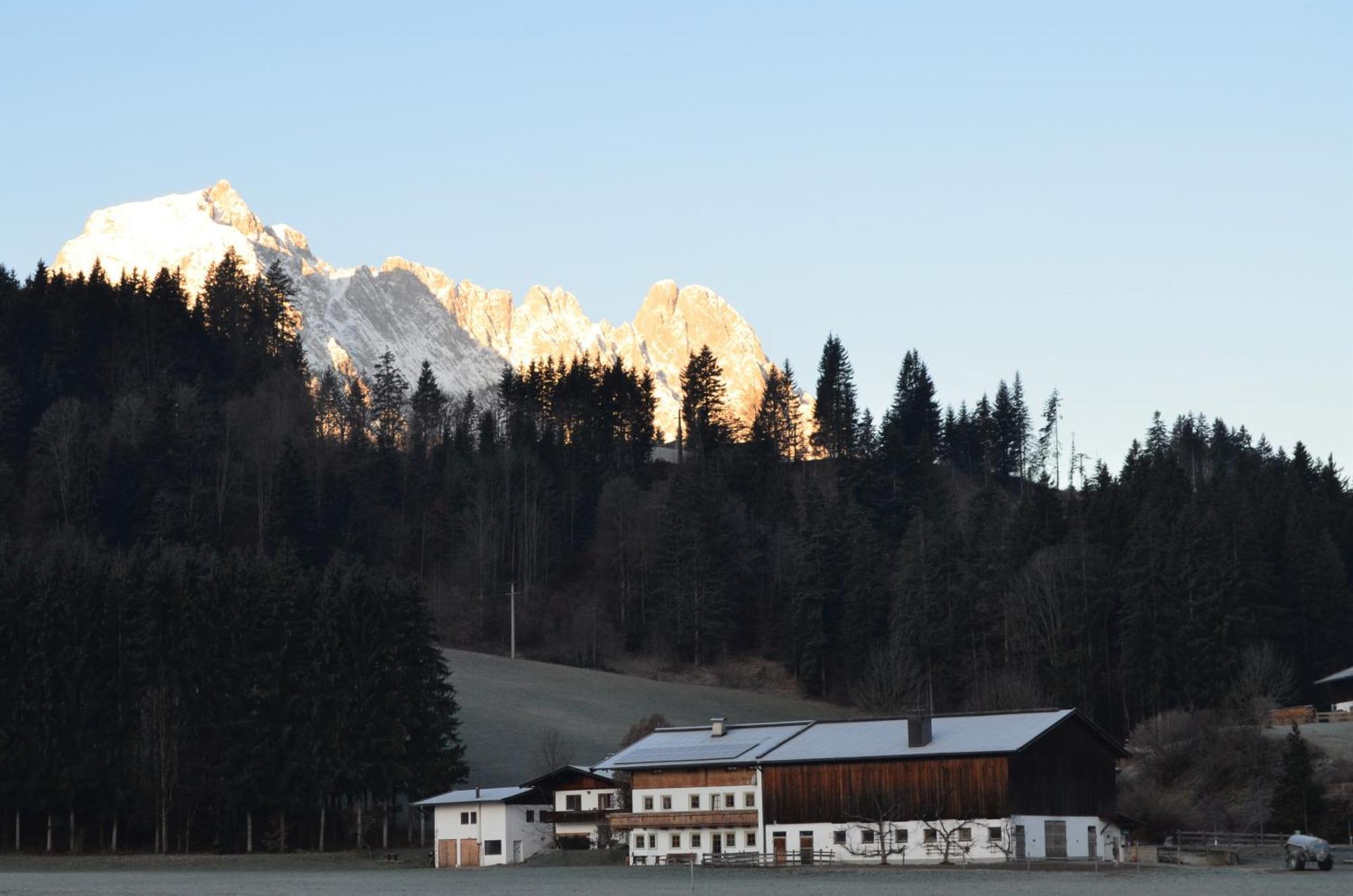 Haus Treffer Hotel เคิร์ชดอร์ฟ อิน ทิโรล ภายนอก รูปภาพ